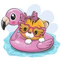 Tiger girl in swimming on pool ring inflatable flamingo