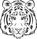 Tiger head. Black and white outline