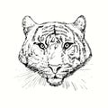 Tiger head front view. Ink black and white drawing Royalty Free Stock Photo