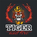 Tiger head hand and fire - vector illustration Royalty Free Stock Photo