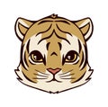 Tiger head. Illustration of a little tiger cub on a white background. Tiger character for animation scenes in cartoon style. Cute Royalty Free Stock Photo