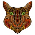 Tiger head image Royalty Free Stock Photo