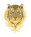 Tiger head isolated on yellow watercolor paint splash background. Wild Animal stylized portrait. Zentangle inspired Royalty Free Stock Photo