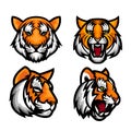 Tiger head and mascot collections vector