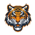 Tiger head mascot isolated on white background. Vector illustration of tiger head mascot for sport team Royalty Free Stock Photo