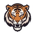 Tiger head mascot logo isolated on white background. tiger logo Royalty Free Stock Photo