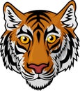 Tiger Head Mascot Team Sport cartoon Royalty Free Stock Photo
