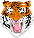 Tiger head mascot Royalty Free Stock Photo