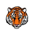 Tiger head. Tiger sketch. The symbol of the new 2022. Vector illustration Royalty Free Stock Photo