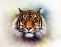 tiger head on a soft toned abstract