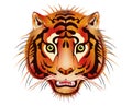 Tiger head - vector Royalty Free Stock Photo