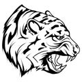 Tiger head vector drawing, tiger face drawing sketch, tiger head in black and white Royalty Free Stock Photo