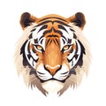 Tiger head vector illustration isolated on white background. Wild animal portrait. Royalty Free Stock Photo