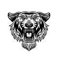 Tiger head front view vector illustration in vintage detailed monochrome style isolated on white background Royalty Free Stock Photo