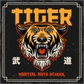 Tiger head vintage colored poster in japan style for martial arts school. Vector illustration with japan text mean