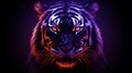 Neon Night Tiger: Aggressive Digital Illustration With Bright Colors