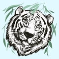 Tiger head on a white isolated background, Derawn black contour.,line art. Graphics vector illustration with bamboo leaves, trees Royalty Free Stock Photo