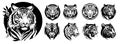 Tiger heads black and white vector illustration. Royalty Free Stock Photo