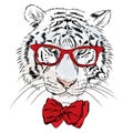 Tiger hipster vector.