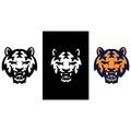 Tiger icon with three color variations Royalty Free Stock Photo
