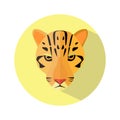 Tiger icon on white the background. Tiger logo. vector illustration Royalty Free Stock Photo