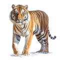 Tiger isolated on white background created with Generative AI Royalty Free Stock Photo