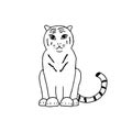 Tiger isolated on white background. Gorgeous exotic carnivorous animal with stripy coat. Graceful large wild cat or