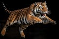 Tiger jumping air fury. Generate Ai Royalty Free Stock Photo