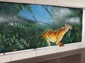 Tiger jumping from Jungle to wall