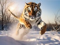 Tiger jumping on snow