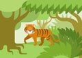 Tiger jungle habitat flat design cartoon vector wild animal