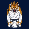 Tiger karate vector illustration
