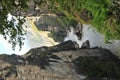 Tiger leaping gorge Royalty Free Stock Photo