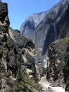 Tiger leaping gorge Royalty Free Stock Photo