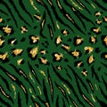 Tiger Leopard Texture Seamless Animal Pattern Royalty Free Stock Photo