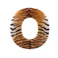 Tiger letter O - Large 3d Feline fur font - suitable for Safari, Wildlife or big felines related subjects