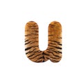 Tiger letter U - Small 3d Feline fur font - Suitable for Safari, Wildlife or big felines related subjects