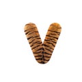 Tiger letter V - Small 3d Feline fur font - Suitable for Safari, Wildlife or big felines related subjects