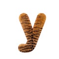 Tiger letter Y - Small 3d Feline fur font - Suitable for Safari, Wildlife or big felines related subjects