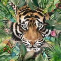 A tiger with light green eyes in a green thicket of leaves and flowers