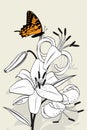 Tiger lily and butterfly
