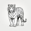 Tiger Line Drawing On Light Background - Clean And Sharp Inking