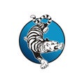Tiger logo design vector Royalty Free Stock Photo