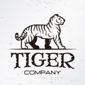 Tiger logo emblem template. Brand mascot symbol for business or shirt. Vector Vintage Design Element. Royalty Free Stock Photo