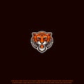 Tiger vector mascot logo design with modern illustration concept style for badge, emblem and tshirt printing. angry tiger Royalty Free Stock Photo