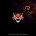 Tiger vector mascot logo design with modern illustration concept style for badge, emblem and tshirt printing. angry tiger Royalty Free Stock Photo