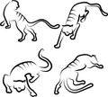 Tiger on the move. Foreground. Back view. Side view. View from above. Schematically. Black outline. Logo. Royalty Free Stock Photo