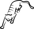 Tiger on the move. View from above. Schematically. Black outline. Logo. Royalty Free Stock Photo