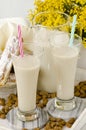 Tiger nut milk and fartons. Horchata de chufa. Royalty Free Stock Photo