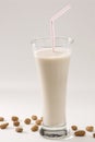 Tiger nut milk. Horchata de chufa. Royalty Free Stock Photo